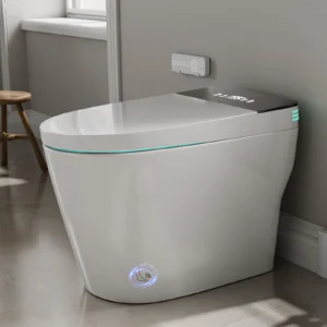 Smart Bidet Toilet